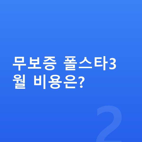 폴스타3 장기렌트 무보증 무보증 폴스타3 월 비용은?