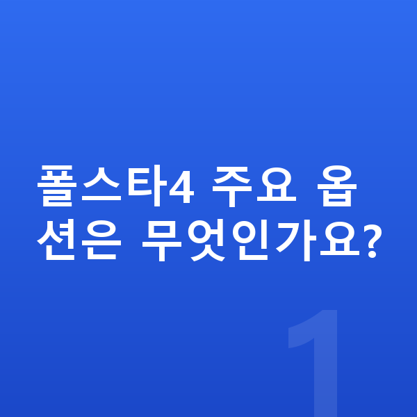 폴스타4 옵션 폴스타4 주요 옵션은 무엇인가요?