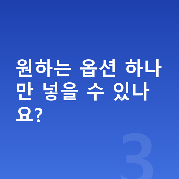 폴스타4 옵션 원하는 옵션 하나만 넣을 수 있나요?