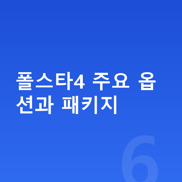 폴스타4 옵션 폴스타4 주요 옵션과 패키지