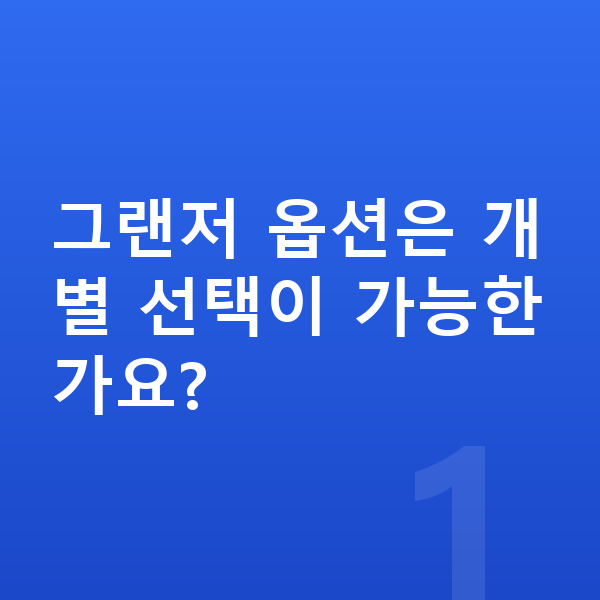 현대 그랜저 옵션 그랜저 옵션은 개별 선택이 가능한가요?