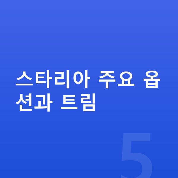현대 스타리아 옵션 스타리아 주요 옵션과 트림