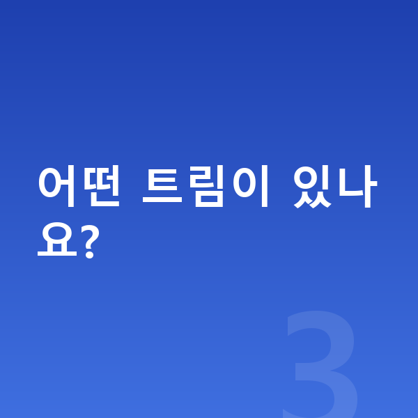 현대 스타리아 풀체인지 어떤 트림이 있나요?