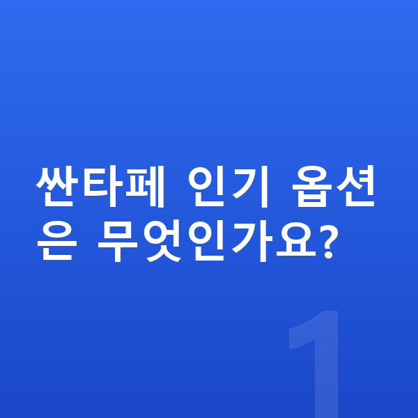 현대 싼타페 옵션 싼타페 인기 옵션은 무엇인가요?