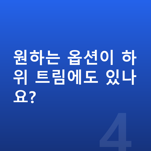 현대 싼타페 옵션 원하는 옵션이 하위 트림에도 있나요?