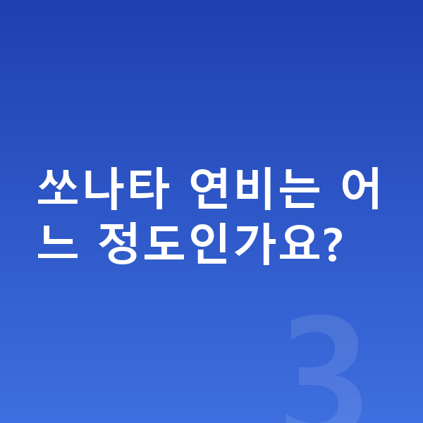 현대 쏘나타 가격 쏘나타 연비는 어느 정도인가요?