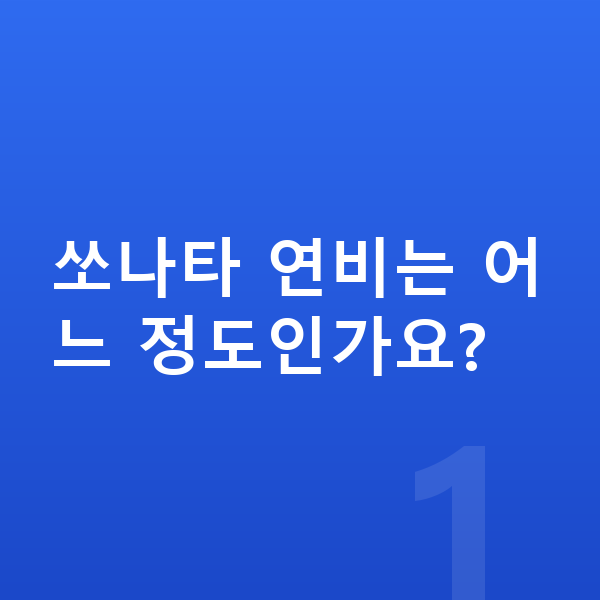 현대 쏘나타 연비 쏘나타 연비는 어느 정도인가요?