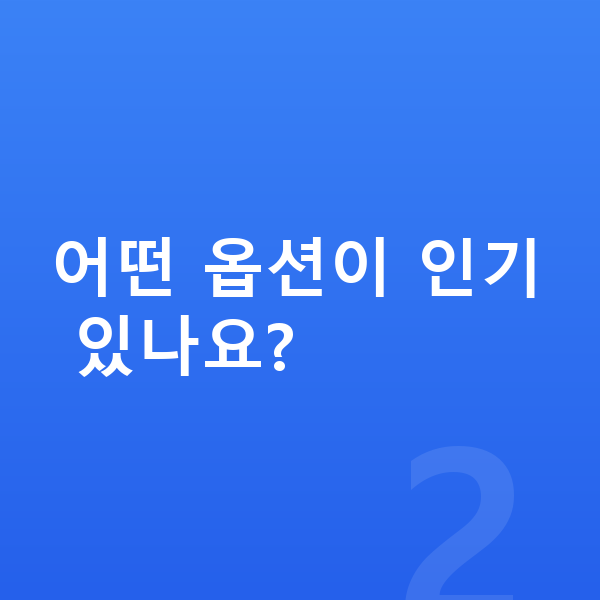 현대 쏘나타 옵션 어떤 옵션이 인기 있나요?