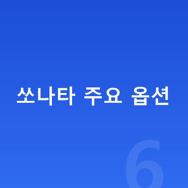 현대 쏘나타 옵션 쏘나타 주요 옵션