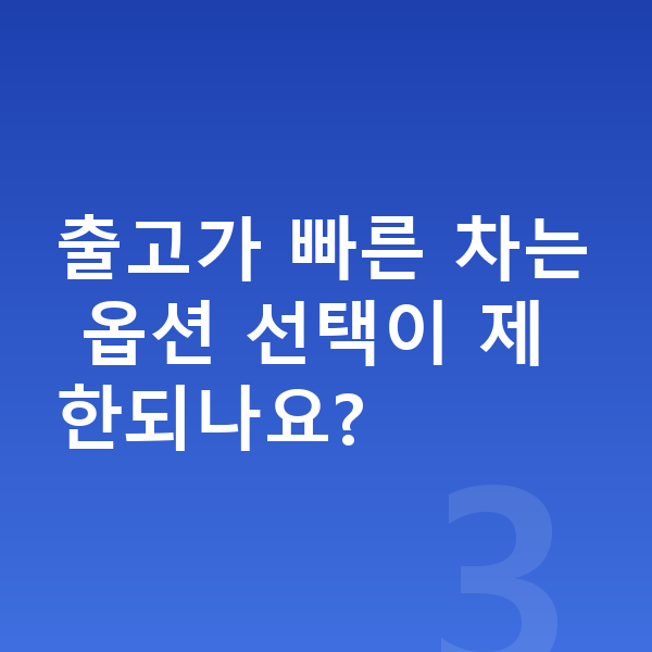 현대 쏘나타 장기렌트 출고기간 출고가 빠른 차는 옵션 선택이 제한되나요?