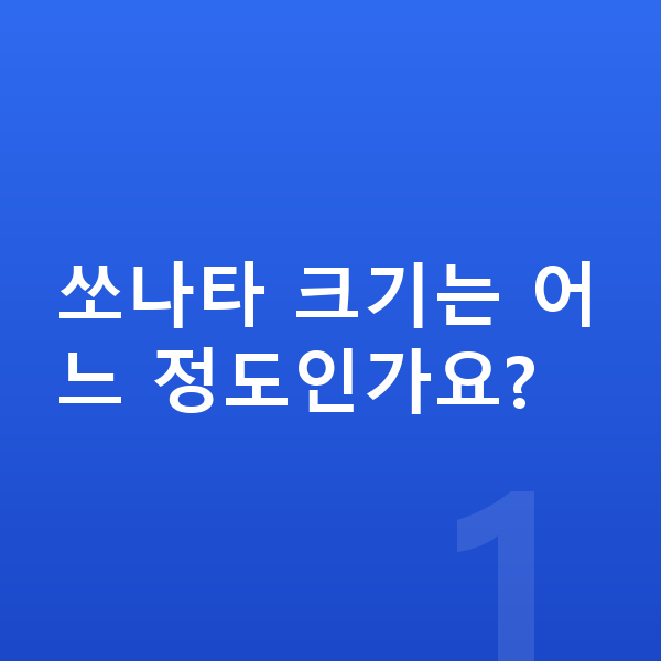현대 쏘나타 제원 쏘나타 크기는 어느 정도인가요?