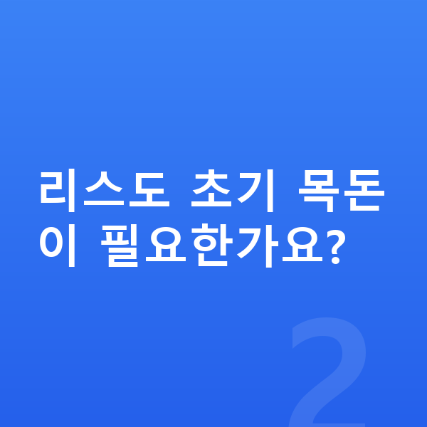 현대 아반떼 리스 리스도 초기 목돈이 필요한가요?