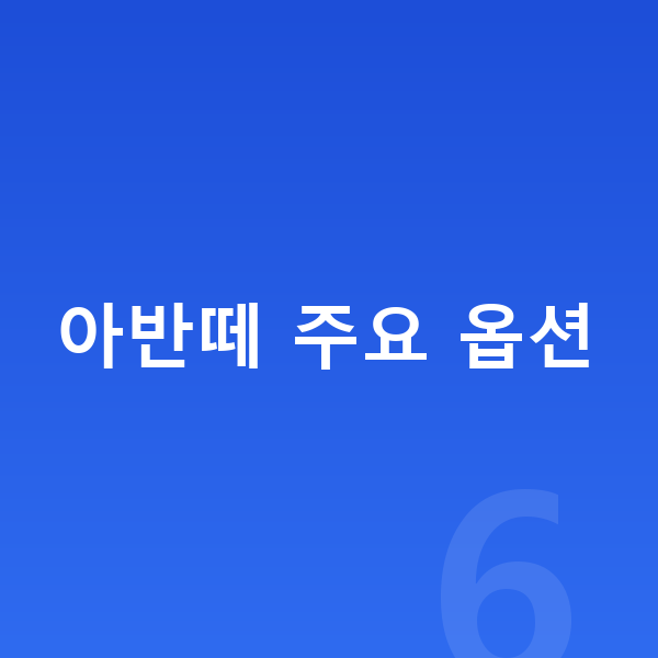 현대 아반떼 옵션 아반떼 주요 옵션