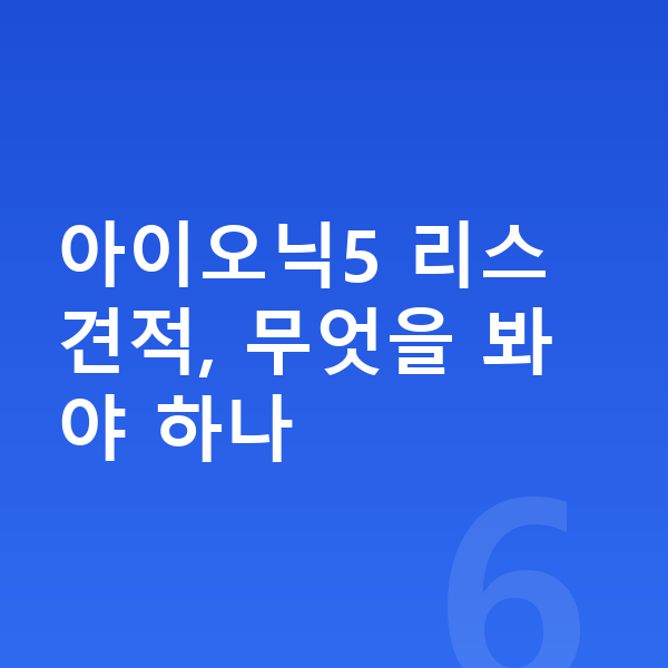 현대 아이오닉5 리스 견적 아이오닉5 리스 견적, 무엇을 봐야 하나