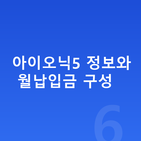 현대 아이오닉5 장기렌트 월납입금 아이오닉5 정보와 월납입금 구성