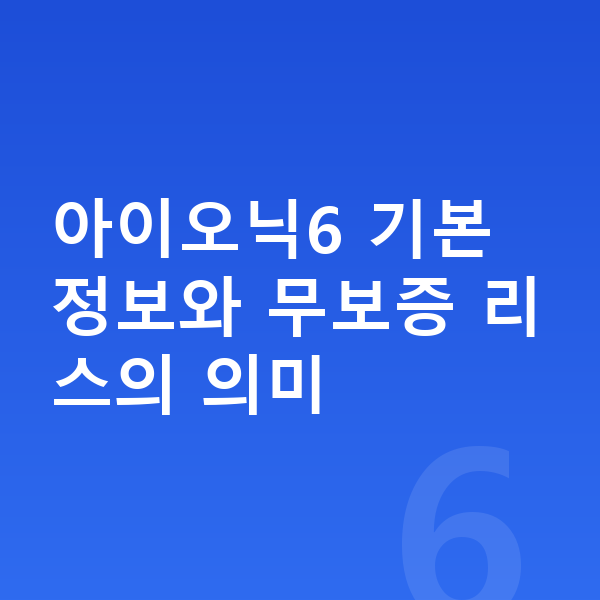 현대 아이오닉6 리스 무보증 아이오닉6 기본 정보와 무보증 리스의 의미
