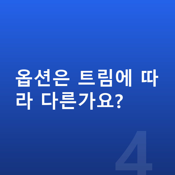 현대 아이오닉6 옵션 옵션은 트림에 따라 다른가요?