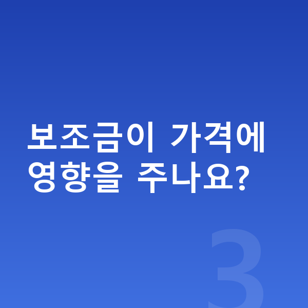 현대 아이오닉6 장기렌트 가격 보조금이 가격에 영향을 주나요?
