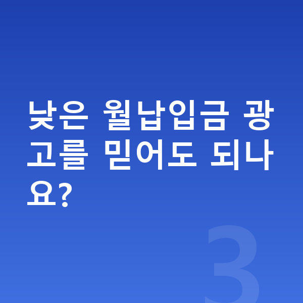 현대 아이오닉9 장기렌트 월납입금 낮은 월납입금 광고를 믿어도 되나요?