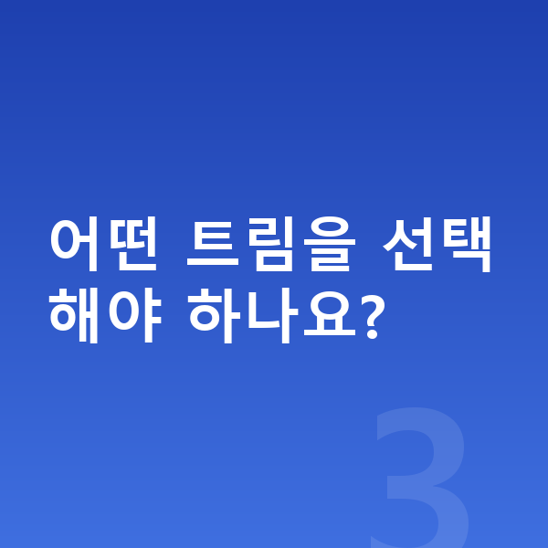 현대 캐스퍼 옵션 어떤 트림을 선택해야 하나요?