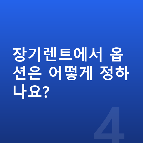 현대 코나 옵션 장기렌트에서 옵션은 어떻게 정하나요?