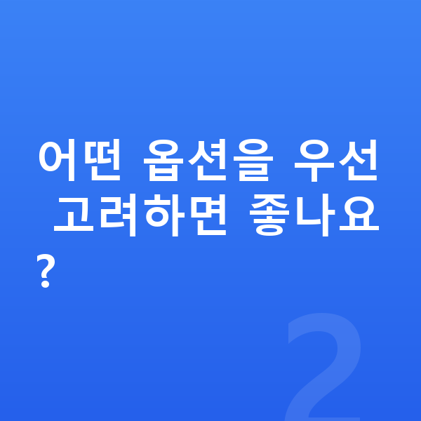 현대 코나 일렉트릭 옵션 어떤 옵션을 우선 고려하면 좋나요?