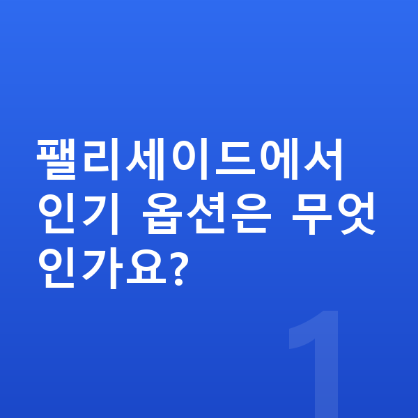 현대 팰리세이드 옵션 팰리세이드에서 인기 옵션은 무엇인가요?