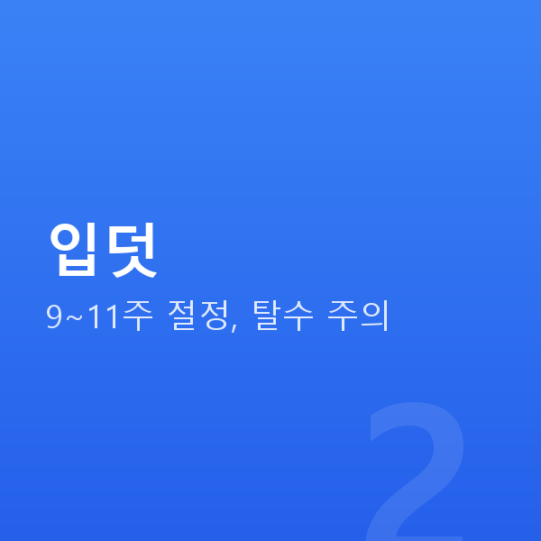임신 10주차 입덧