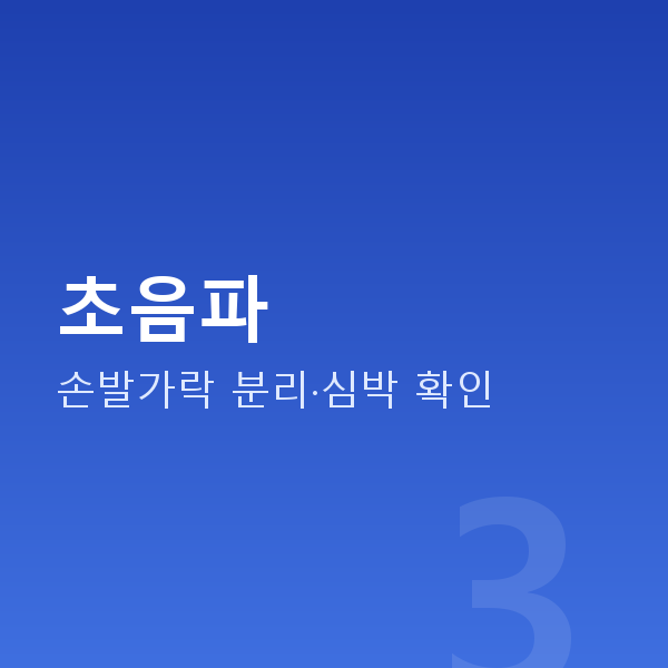 임신 10주차 초음파