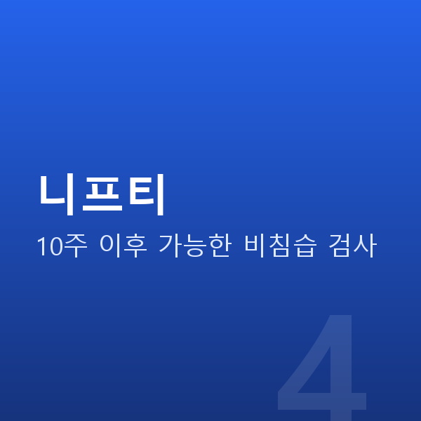 임신 10주차 니프티