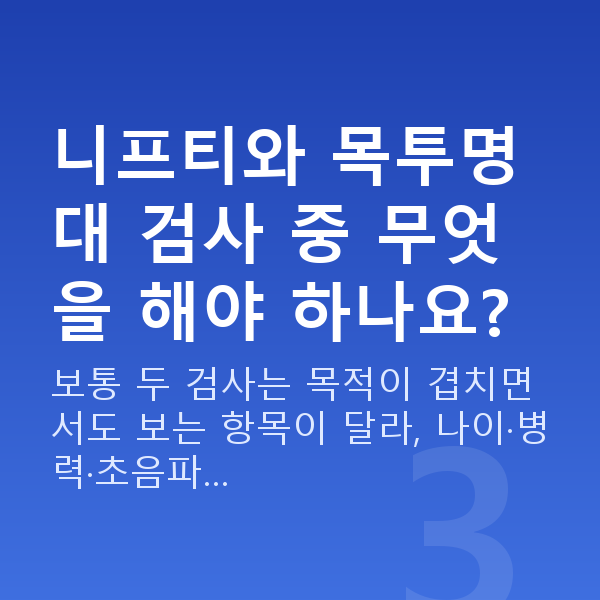 임신 10주차 니프티검사 니프티와 목투명대 검사 중 무엇을 해야 하나요?