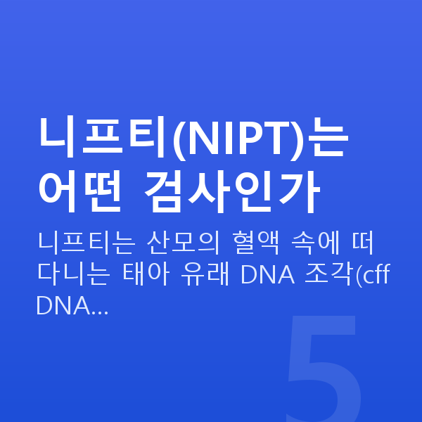 임신 10주차 니프티검사 니프티(NIPT)는 어떤 검사인가