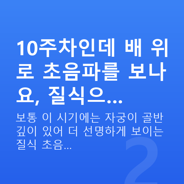 임신 10주차 초음파 10주차인데 배 위로 초음파를 보나요, 질식으…