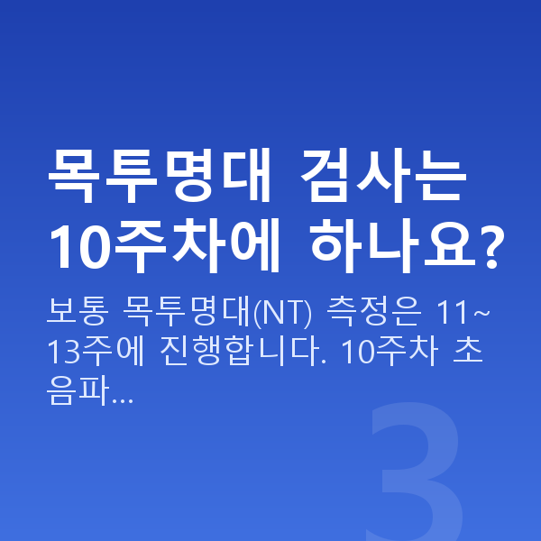 임신 10주차 초음파 목투명대 검사는 10주차에 하나요?