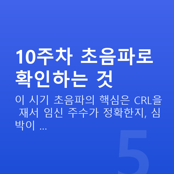 임신 10주차 초음파 10주차 초음파로 확인하는 것