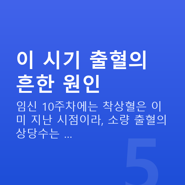 임신 10주차 출혈 이 시기 출혈의 흔한 원인