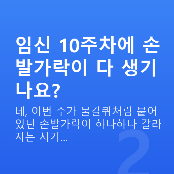 임신 10주차 태아 크기 임신 10주차에 손발가락이 다 생기나요?