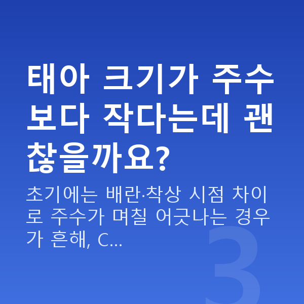 임신 10주차 태아 크기 태아 크기가 주수보다 작다는데 괜찮을까요?