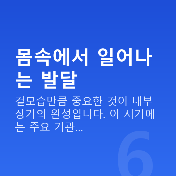 임신 10주차 태아 크기 몸속에서 일어나는 발달