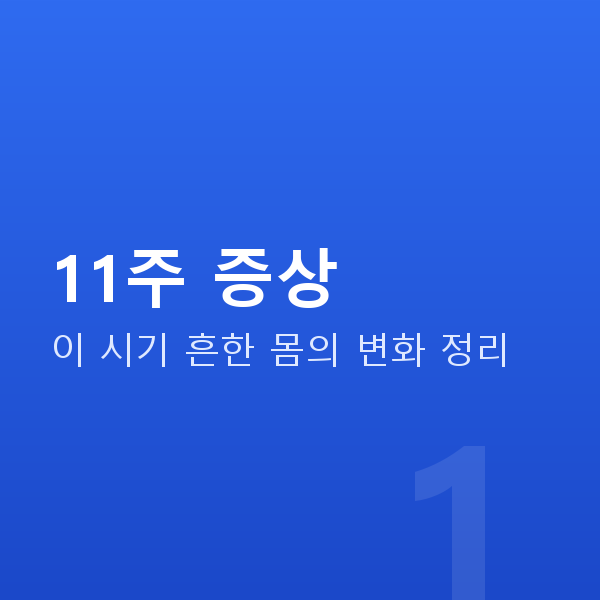 임신 11주차 11주 증상
