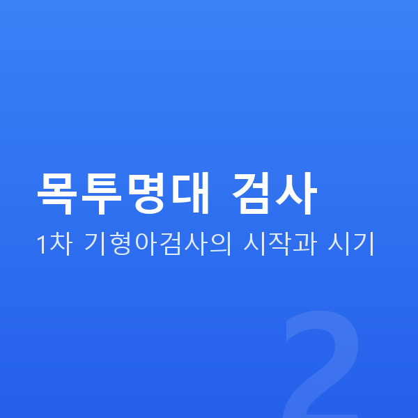 임신 11주차 목투명대 검사