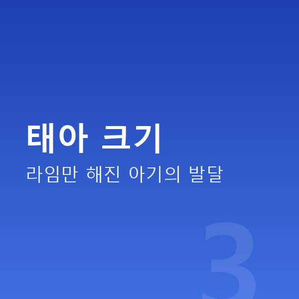 임신 11주차 태아 크기