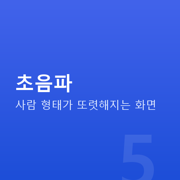 임신 11주차 초음파