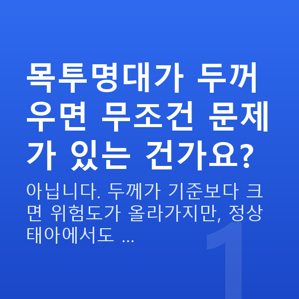 임신 11주차 목투명대 목투명대가 두꺼우면 무조건 문제가 있는 건가요?
