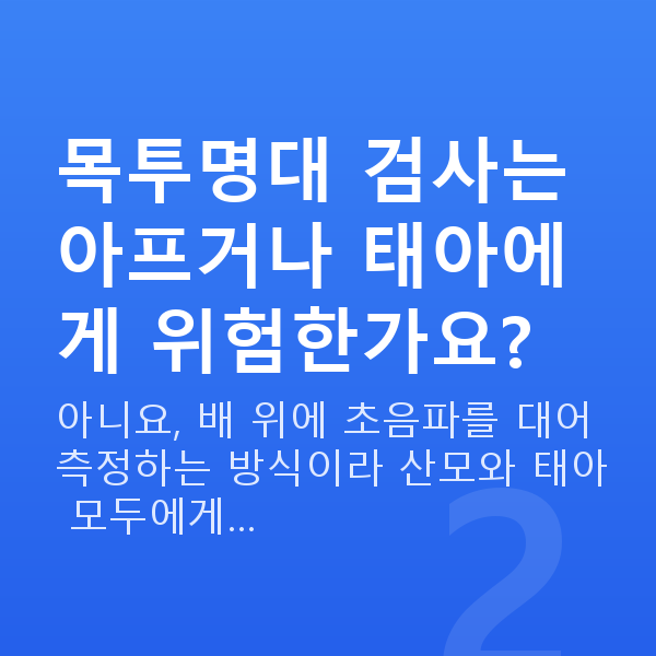 임신 11주차 목투명대 목투명대 검사는 아프거나 태아에게 위험한가요?
