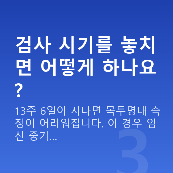 임신 11주차 목투명대 검사 시기를 놓치면 어떻게 하나요?