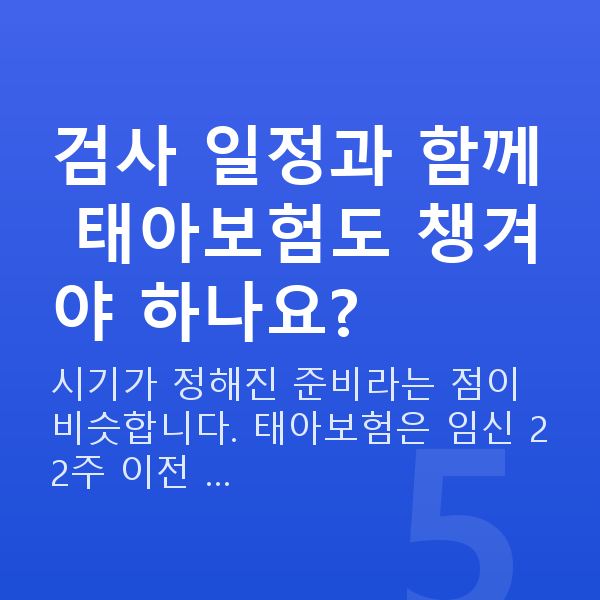 임신 11주차 목투명대 검사 일정과 함께 태아보험도 챙겨야 하나요?