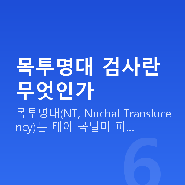 임신 11주차 목투명대 목투명대 검사란 무엇인가