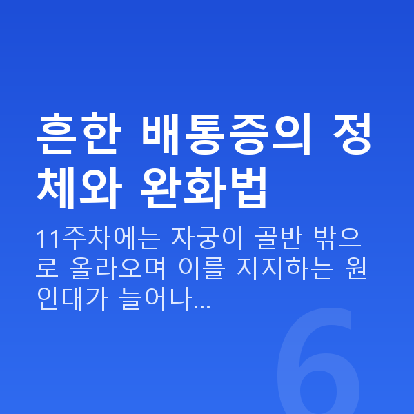 임신 11주차 배통증 흔한 배통증의 정체와 완화법
