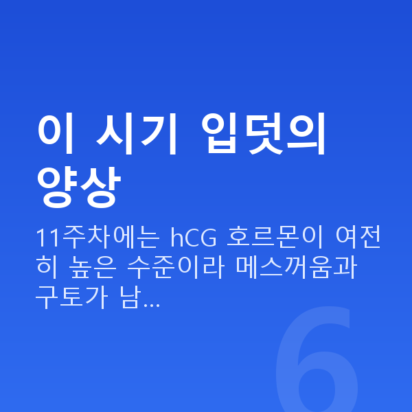 임신 11주차 입덧 이 시기 입덧의 양상
